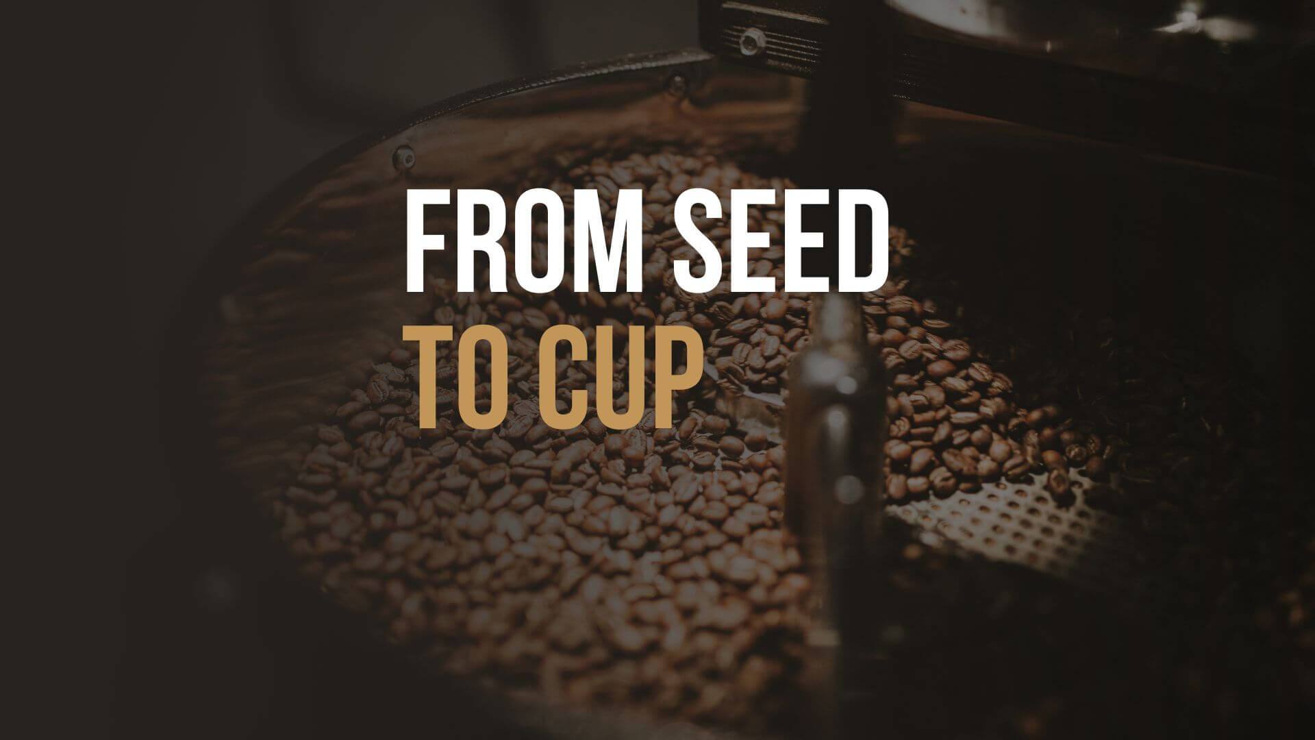Frisch geröstete Kaffeebohnen in einer Röstertrommel mit dem Schriftzug From Seed to Cup